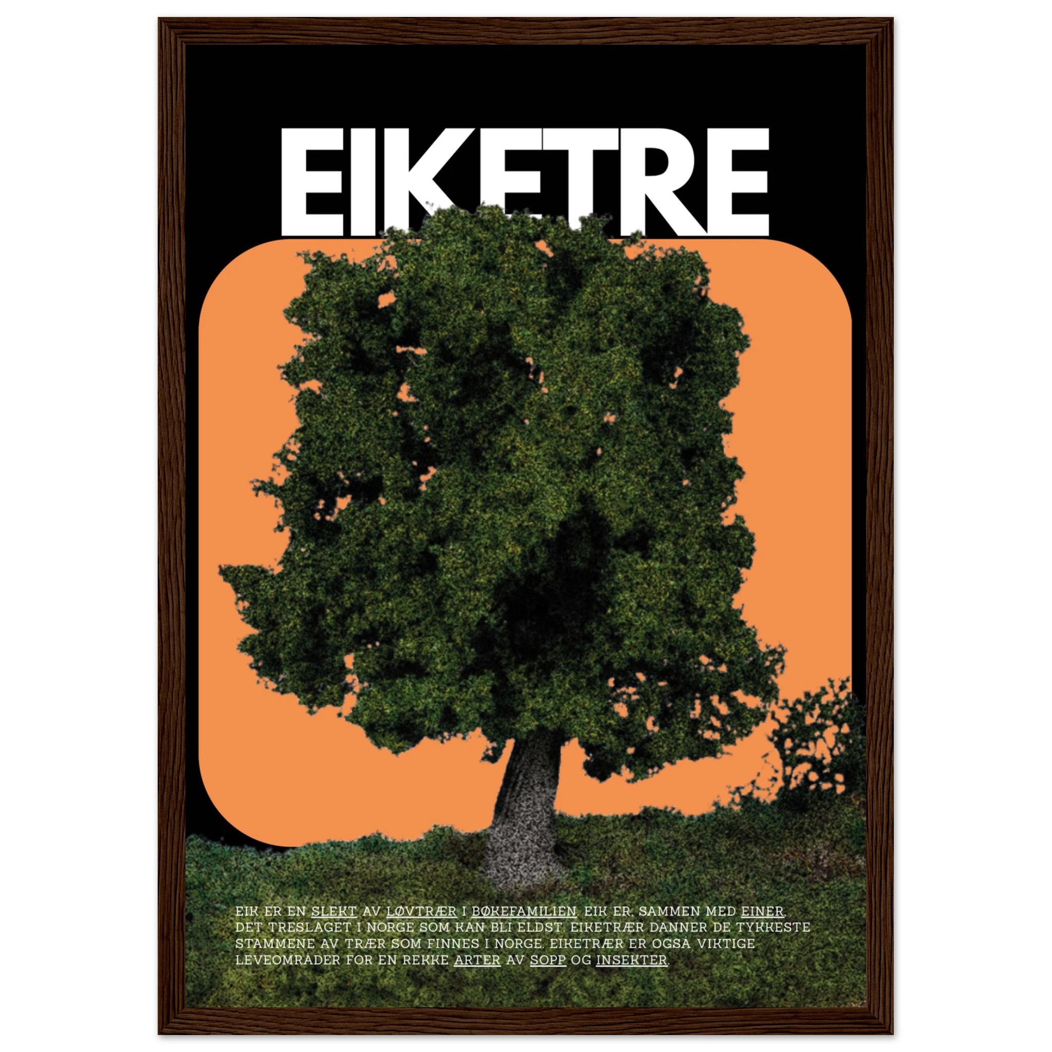 06e1a441-922b-456a-9e7a-6547aa26a079