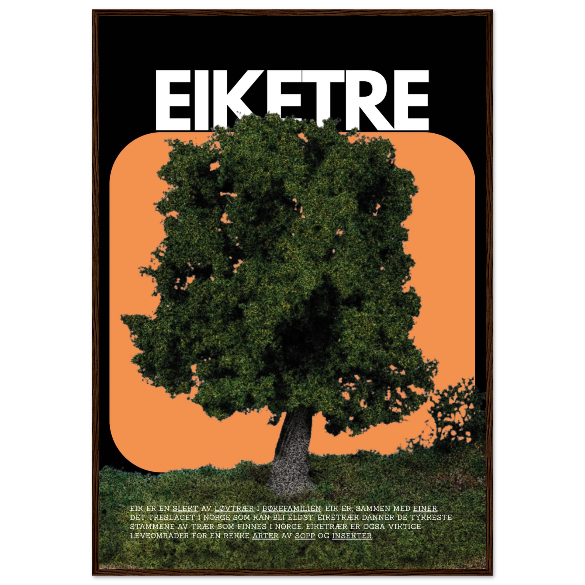 3f935ceb-4356-4f8a-81f9-19c8d0126009