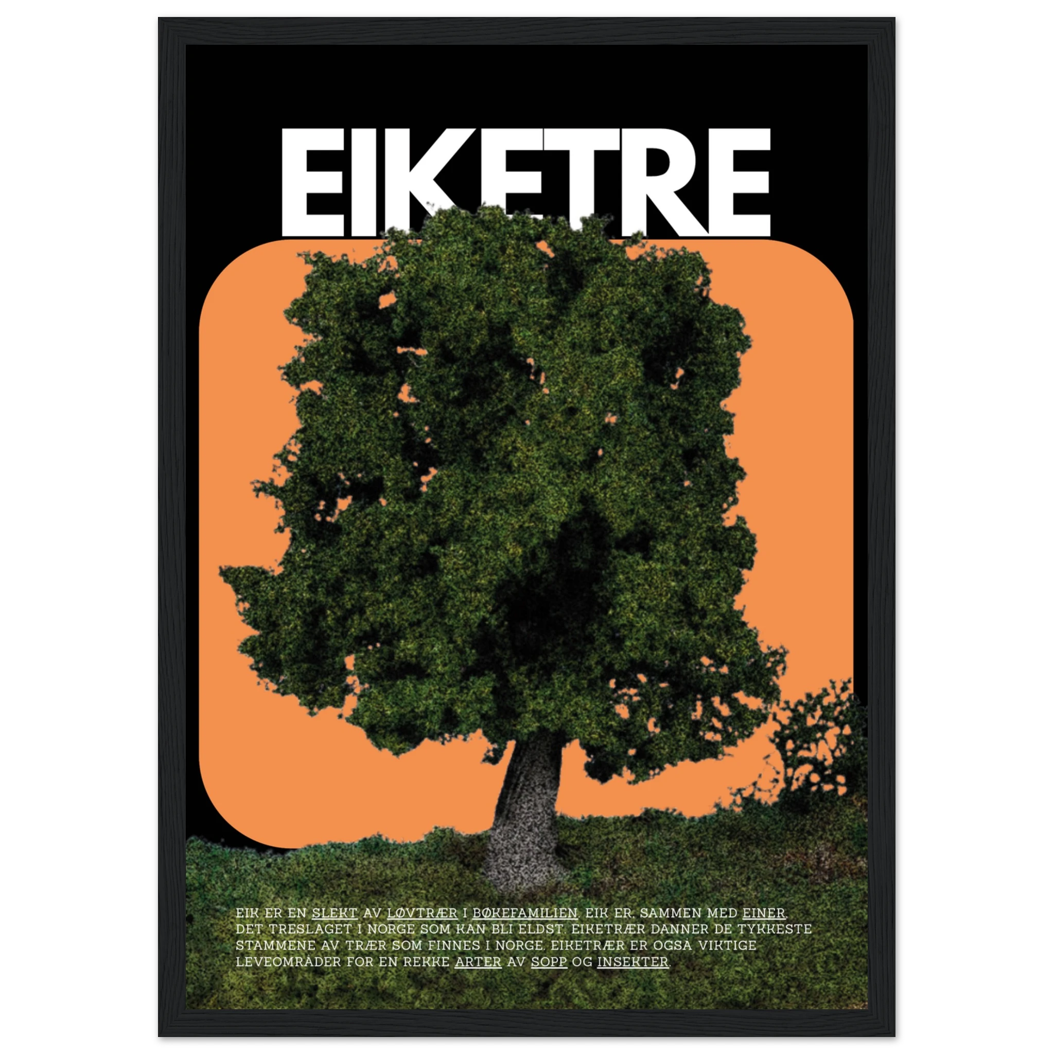 46e6b2e8-9b0e-43c3-a09f-b9bae7c789ab