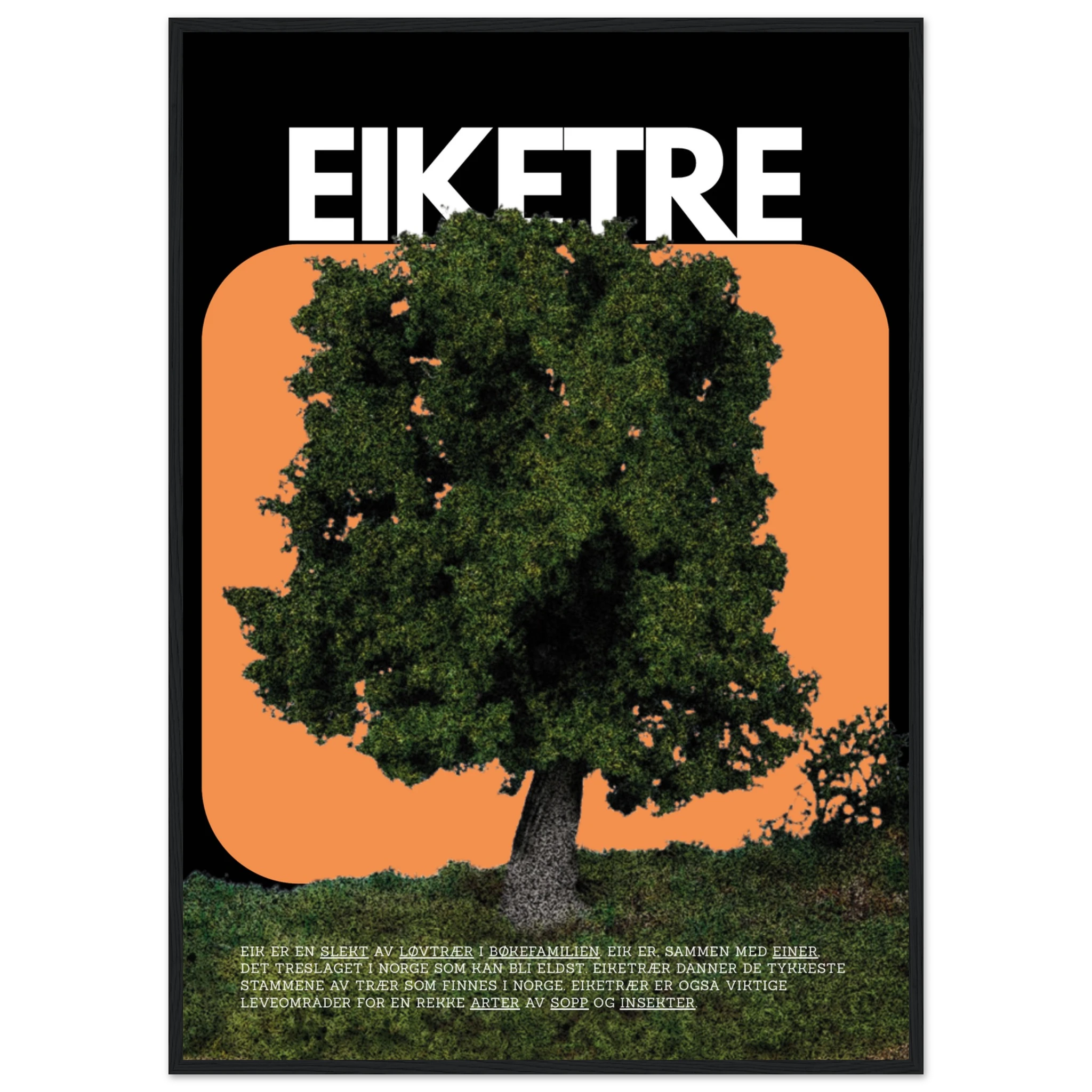 4eee9ba4-26a5-44d6-ad0e-c06ff1c37cea