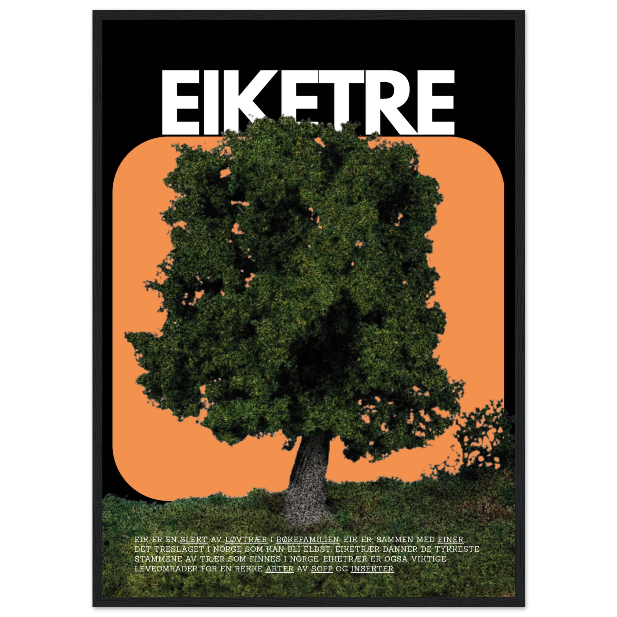 a75609f7-c165-4ff9-9201-bf1b86ab6d6b