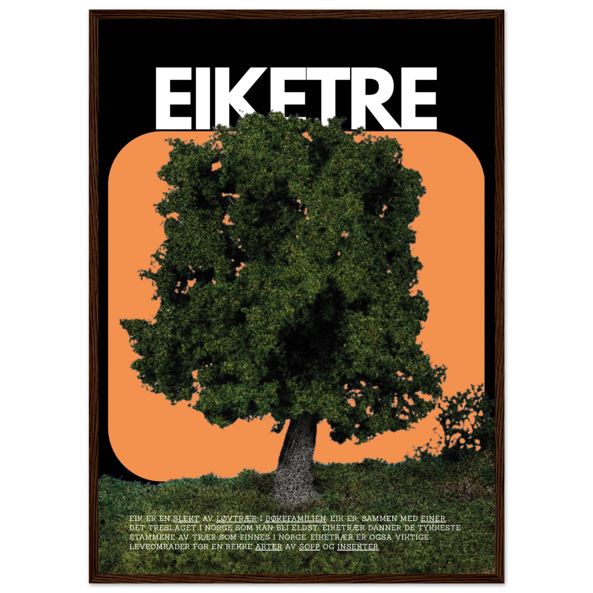 b031d9fa-5550-4ad5-8dbf-a3cd0d183dd2