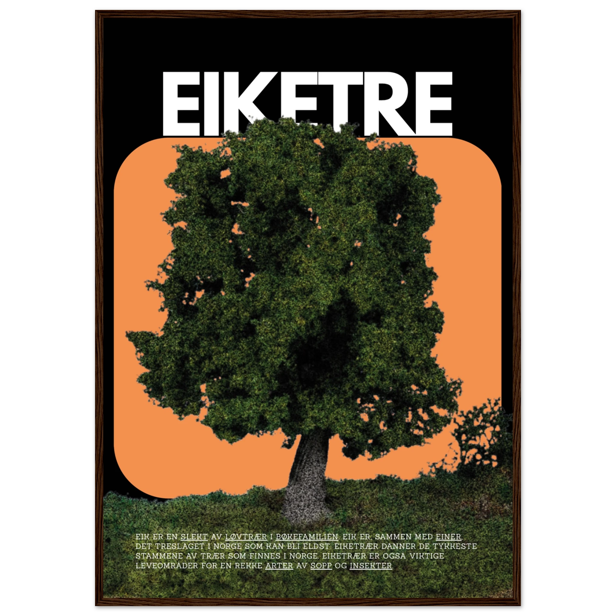 dfeaf262-f94f-4298-aa34-3705297b1a7d