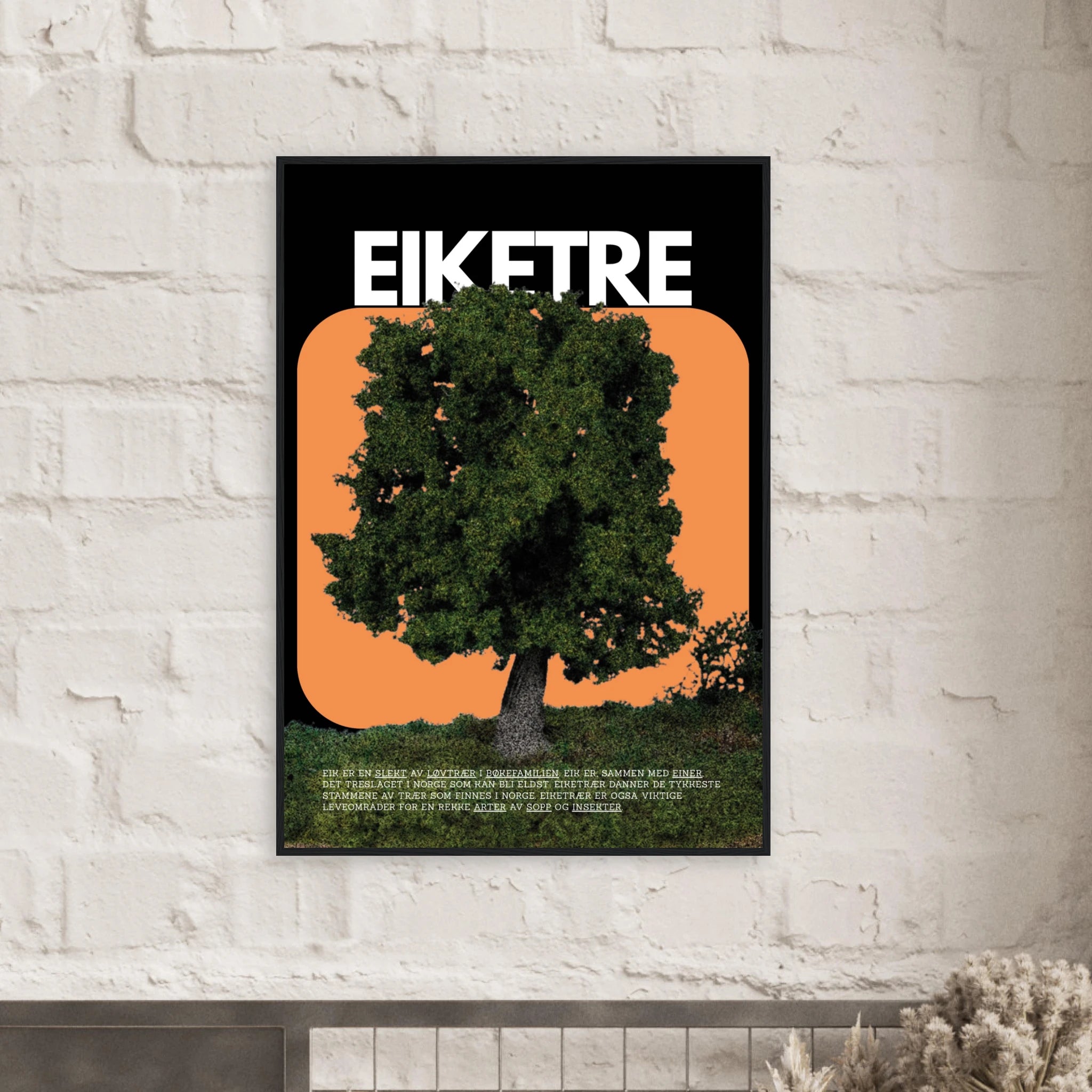 eef069bd-5219-4b44-bb49-a95ac2aa3e69