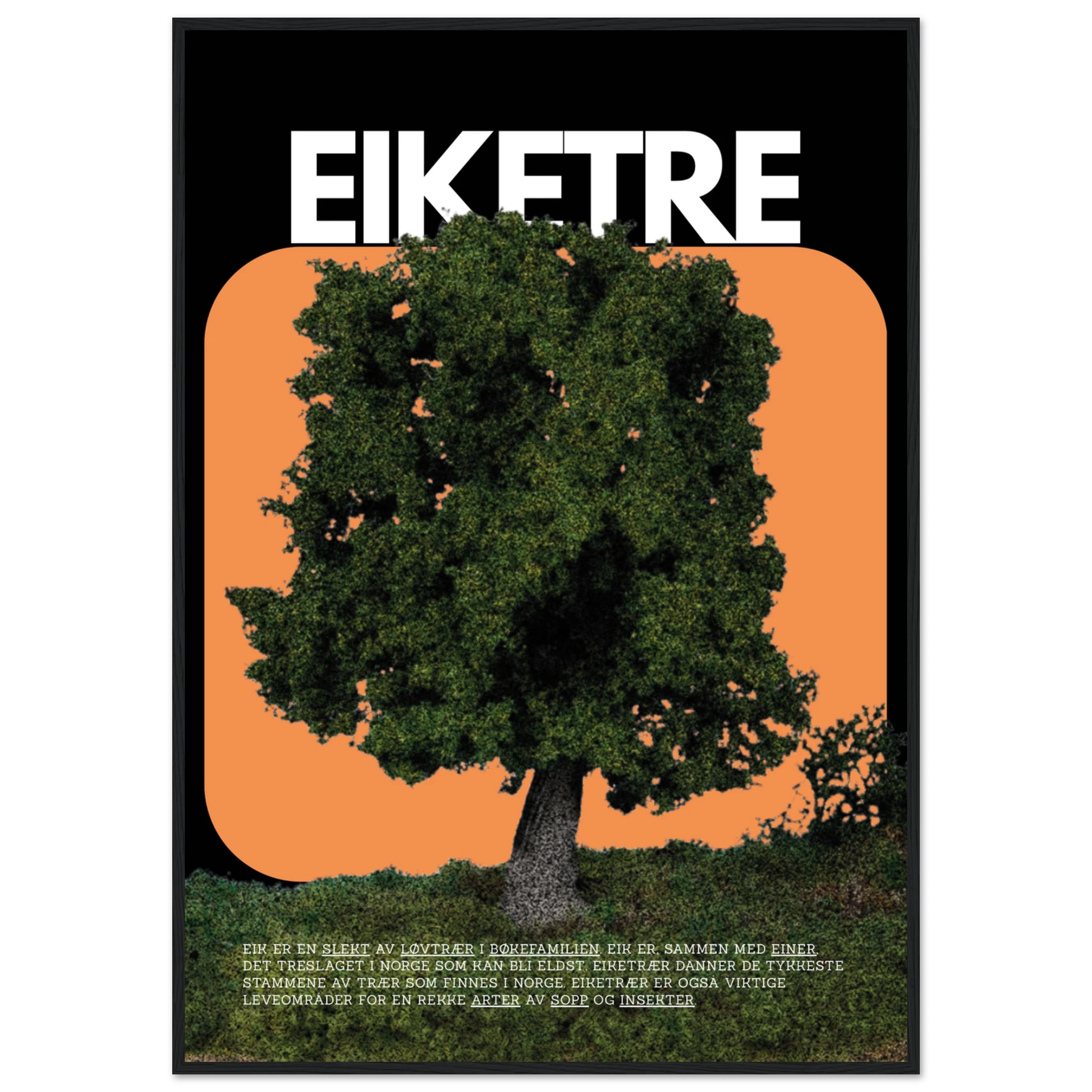 f49bff91-eb92-4d0b-9a97-436f3ff24152